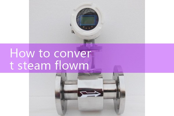 Steam flowmeter unit